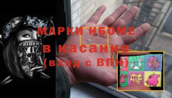 ПСИЛОЦИБИНОВЫЕ ГРИБЫ Каменка