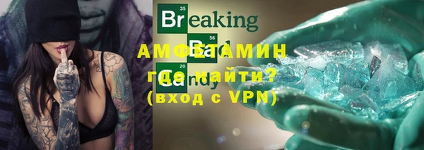 спиды Каменногорск
