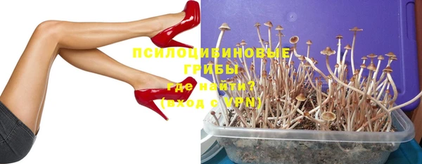 ПСИЛОЦИБИНОВЫЕ ГРИБЫ Каменка
