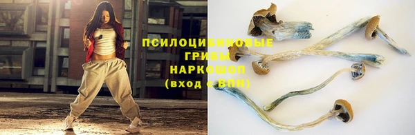 ПСИЛОЦИБИНОВЫЕ ГРИБЫ Каменка