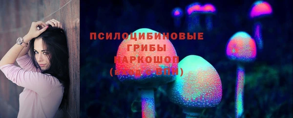 гидропоника Карталы