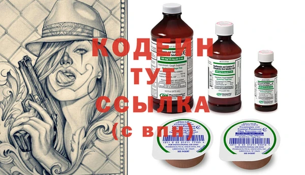 ПСИЛОЦИБИНОВЫЕ ГРИБЫ Каменка