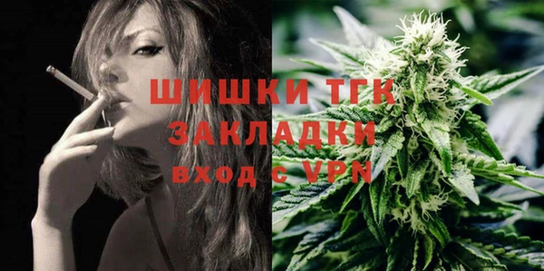 ПСИЛОЦИБИНОВЫЕ ГРИБЫ Каменка