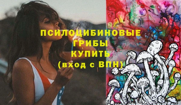 ПСИЛОЦИБИНОВЫЕ ГРИБЫ Каменка