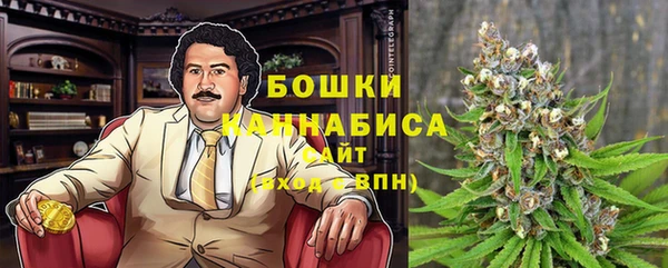 спиды Каменногорск