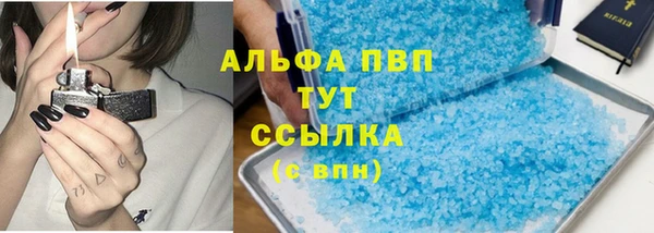 ПСИЛОЦИБИНОВЫЕ ГРИБЫ Каменка