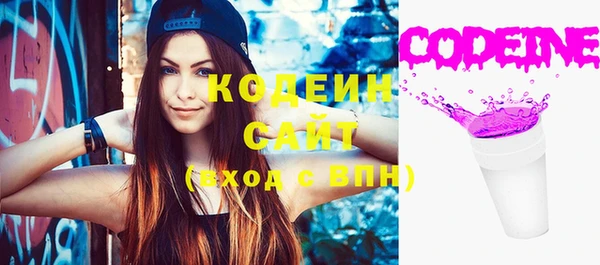 ПСИЛОЦИБИНОВЫЕ ГРИБЫ Каменка
