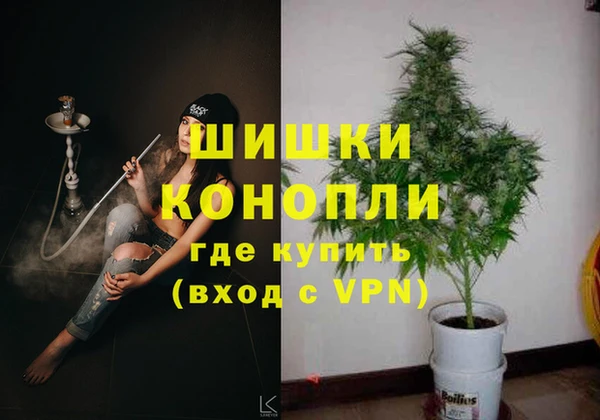 ПСИЛОЦИБИНОВЫЕ ГРИБЫ Каменка